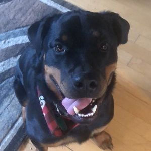 Meet your Posher, Ryan